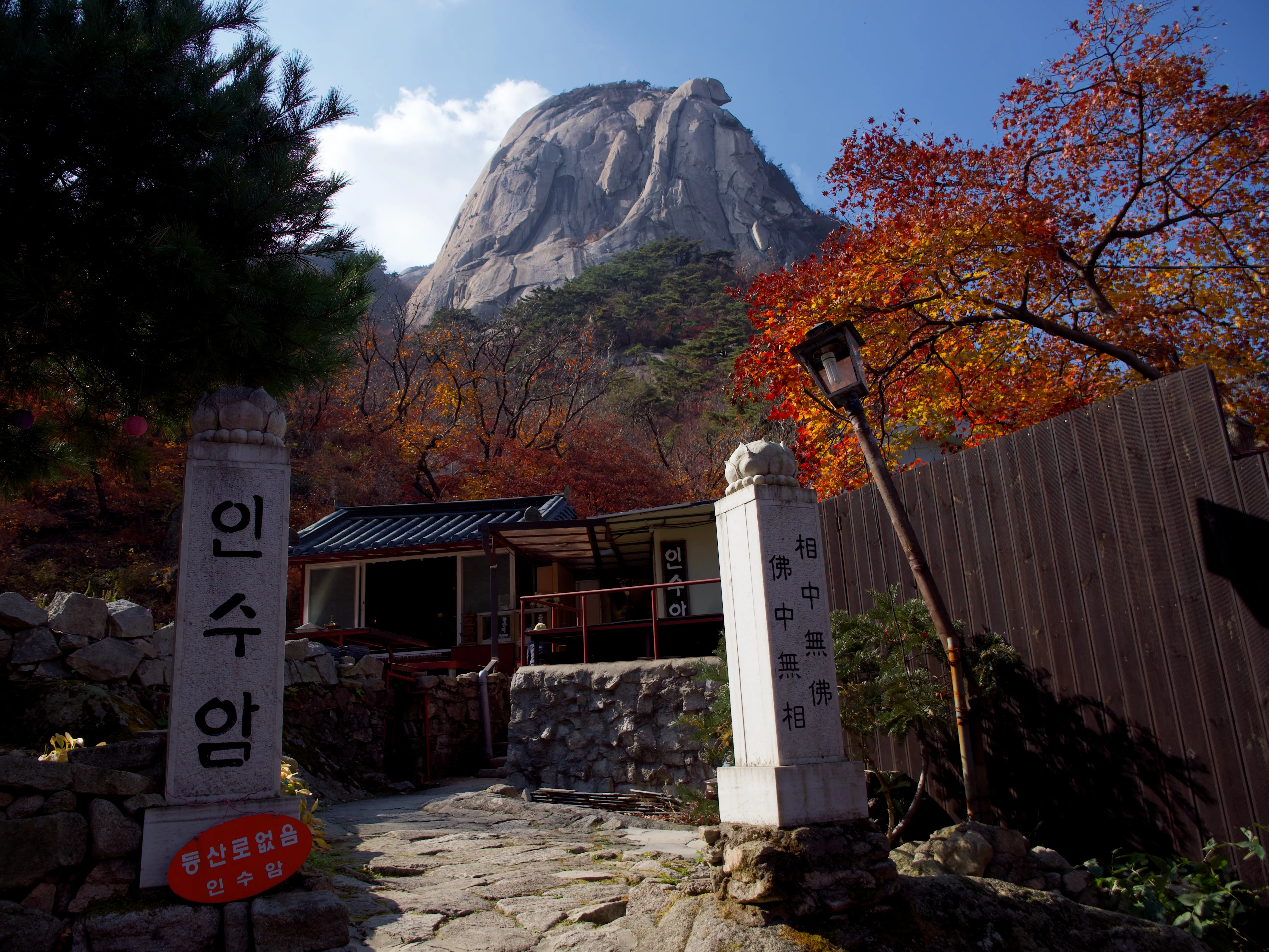 Autumn Foliage - Picture 5